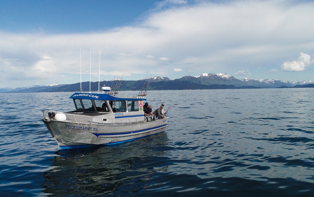 Homer Ocean Charters Halibut Charters in Homer